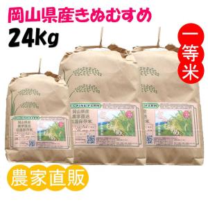 きぬむすめ 20kg 令和8年度 農家直送 お米（精米後、18kg程度となり