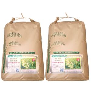 令和7年産 にじのきらめき 玄米 20kg 農家直送 にじのきらめき 20kg 令和8年産 農家直送 玄米 : Ms Fine Farm - 通販