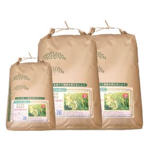 きぬむすめ 20kg 令和8年度 農家直送 お米（精米後、18kg程度となり