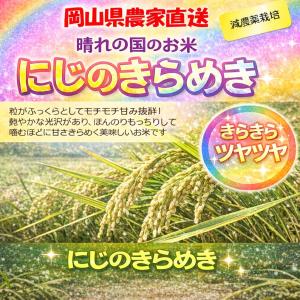 にじのきらめき 10kg 令和8年度 農家直送...の詳細画像2
