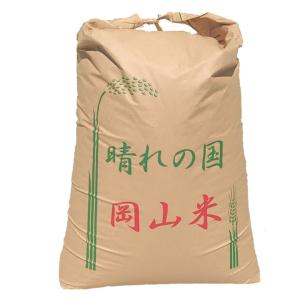 ゆめぴりか 北海道産ゆめぴりか 玄米10kg 令和7年 1等 : 藤勝商店