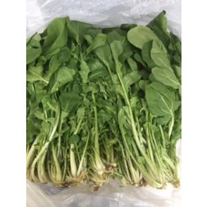 無農薬バジル 100g 茨城県産他 毎週日曜日締め切り、翌火曜日発送