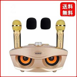 カラオケマイク ホームKTV ワイヤレスマイクシステム