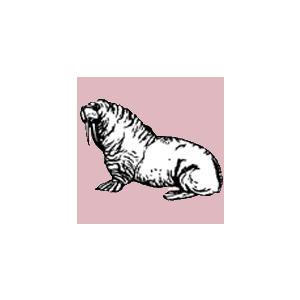 取寄 | Surge | Chuck Owen  ( ビッグバンド | 楽譜 )