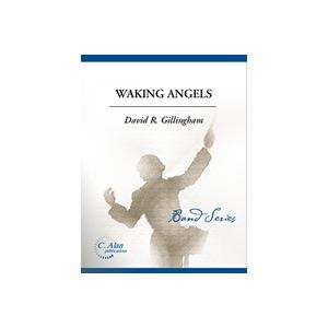 取寄 | 試聴可 | 「目覚める天使達」エイズ 死せる者へ捧ぐ | デイヴィッド・ギリングハム  (...