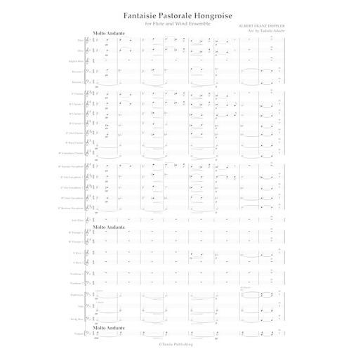 取寄 | ハンガリー田園幻想曲 | アルベルト・フランツ・ドップラー / arr. 足立正  ( 吹...