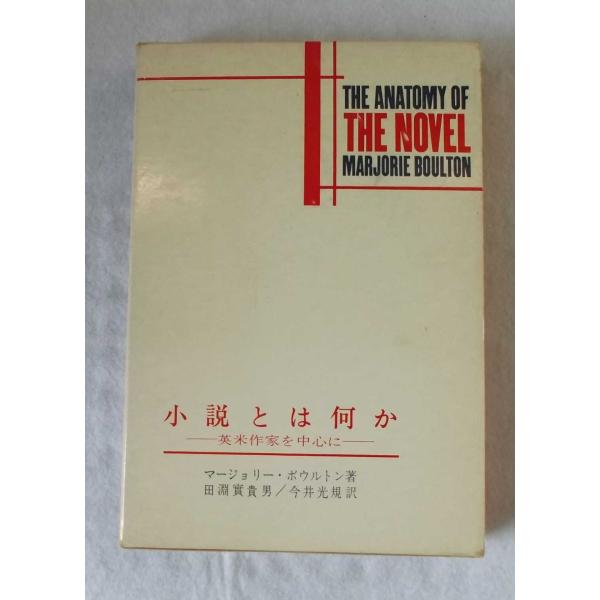 小説とは何か?英米作家を中心に (1981年)