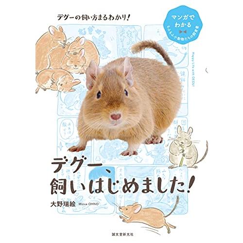 デグー、飼いはじめました