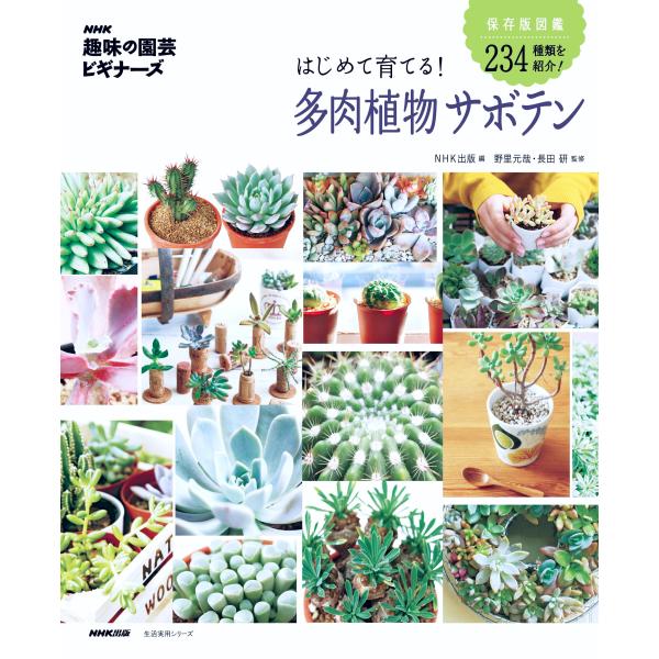 NHK「趣味の園芸ビギナーズ」 はじめて育てる 多肉植物 サボテン (生活実用シリーズ)