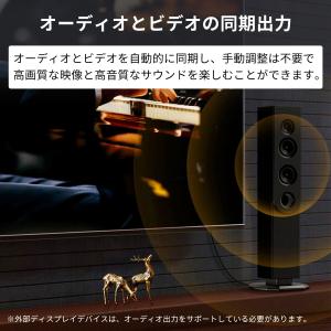 【750円から〜2個目半額/3個目タダ】HDM...の詳細画像4