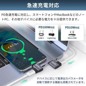 【最大600円引き】USB-C Lightni...の詳細画像3