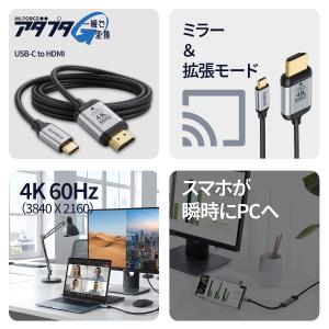 【1380円から〜】Type-C(オス) to...の詳細画像2