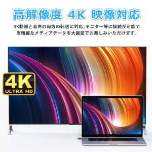【最大600円OFF限定クーポン】DP(オス)...の詳細画像3
