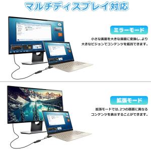 【最大600円OFF限定クーポン】DP(オス)...の詳細画像4