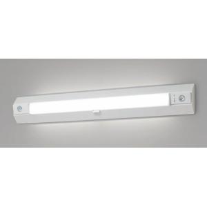 パナソニック NNCF43255 LE9 非常用照明器具 階段灯 天井・壁直付型 LED 昼白色 30分間 ワイドタイプ ONOFFひとセンサ 自己点検機能 Hf32形2灯相当 受注品