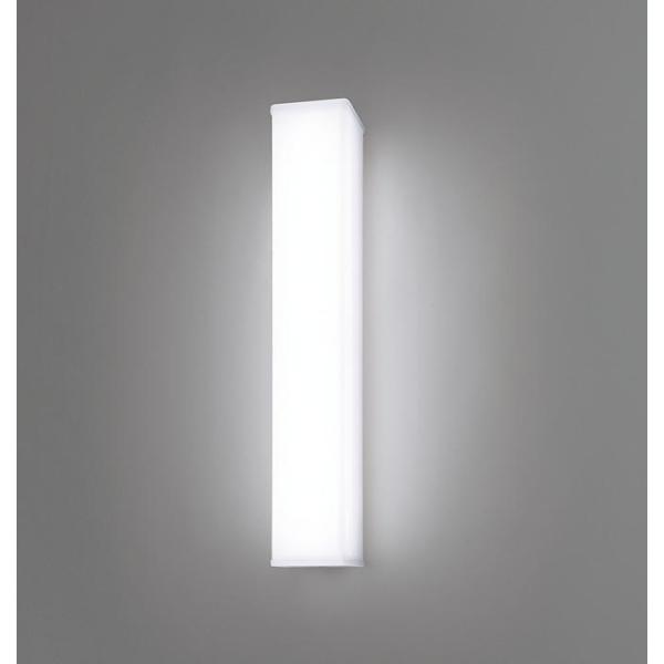 パナソニック NNFW21810CLE9 天井・壁直付型 昼白色 ウォールライト ステンレス製 防湿...