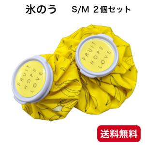 冷温両用氷のう S/M2個セット 氷嚢 アイシン...の商品画像