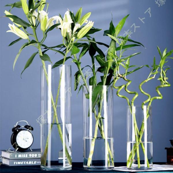 フラワーベース ガラス 大きめ 花瓶 透明 北欧雑貨 広口 観葉植物 花入れ 爽やか 西海岸 おすす...