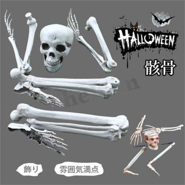 ハロウィン 骸骨 飾り 頭蓋骨 アーム 手骨 足骨 5点セット スケルトン リアル 髑髏 幽霊 肝試...