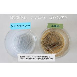 24時間内発送!!ケイ素の恵み サプリメント ...の詳細画像2