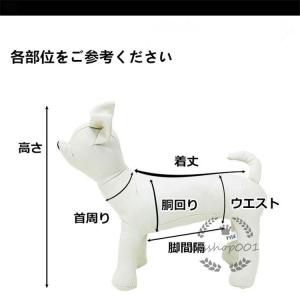 犬 トルソーの商品一覧 通販 Yahoo ショッピング