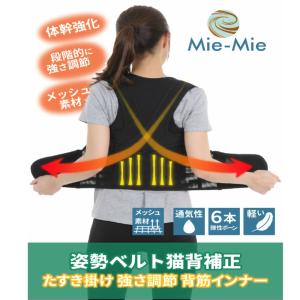 ＼ で20％off ／ 姿勢ベルト 猫背 補正 ベルト 体幹