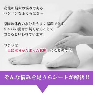 足裏シート 樹液シート 足うらシート ラベンダ...の詳細画像3