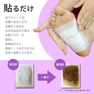 足裏シート 樹液シート 足うらシート ラベンダ...の詳細画像4