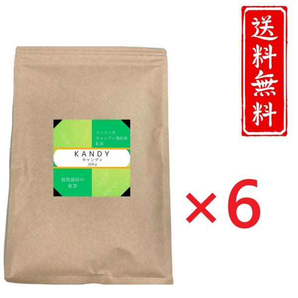キャンディ 紅茶 BOP 200g ×6個　JAF TEA 高級粉砕茶葉　Kandy　業務用 高級 ...