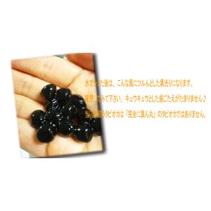 タピオカミルクティーのタピオカ 500g 国産...の詳細画像5