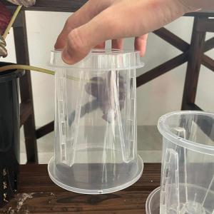 5個トレイ付き 穴付き 蘭の鉢 直径10cm ...の詳細画像2
