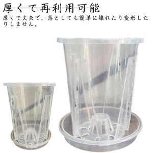 5個トレイ付き 穴付き 蘭の鉢 直径10cm ...の詳細画像5