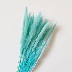 ドライフラワー パンパスグラス 干し花 観葉植...の詳細画像1