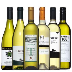 ワイン ワインセット ソムリエ厳選 白ワイン贅沢飲み比べ 6本セット｜mt-wines