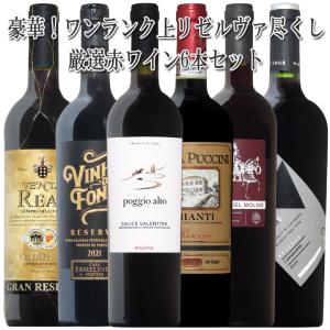 カスティヨン・コート・ド・ボルドー入り】すべて格上！ボルドー