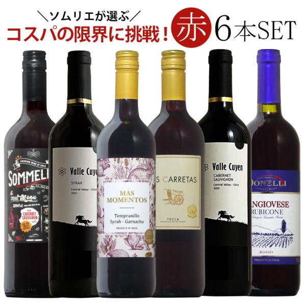 ワイン ワインセット 【限界コスパ】ソムリエ厳選赤ワイン6本飲み比べ 送料無料