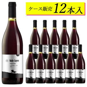 【ケース販売12本】ヴァイエ・クイエン ピノ・ノワール【ヴィンテージは順次変わります】日本に届いた状態のカートンのままお届けします｜mt-wines