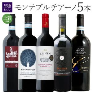 フランス シャンパーニュ 2010 エステルラン ブランドブラン