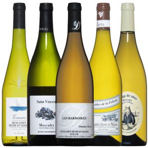 ワイン ワインセット 全てブルゴーニュ産！注目AOC 旨みびっしり