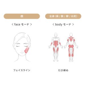 ●ReFa● 筋トレ×美肌 ローラー 公式 R...の詳細画像5