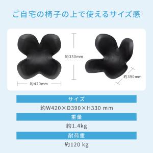 ●ポイント10倍!●スタイルスタンダード N0...の詳細画像3