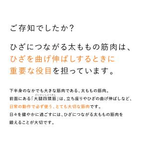 【両足同時にトレーニング 2個セット】 SIX...の詳細画像2