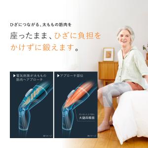 【両足同時にトレーニング 2個セット】 SIX...の詳細画像4