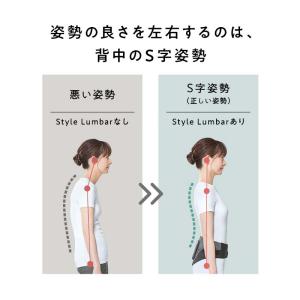 【ポイント10倍!】 スタイルランバー Sty...の詳細画像4