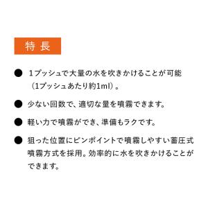 シックスパッド 専用スプレーボトルの詳細画像2
