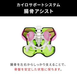 座椅子 椅子 スタイル アスリートツー Sty...の詳細画像4
