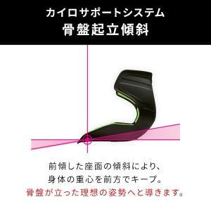 座椅子 椅子 スタイル アスリートツー Sty...の詳細画像5