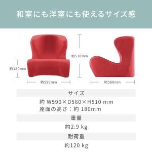 ●ポイント10倍!● MTG公式ストア スタイ...の詳細画像5