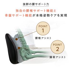 【ポイント10倍】 公式ストア スタイルドライ...の詳細画像2
