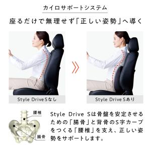 【ポイント10倍】 公式ストア スタイルドライ...の詳細画像1